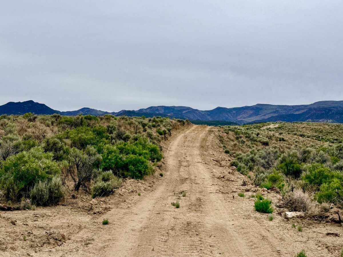 Clover Creek - FS 44098 photo 6
