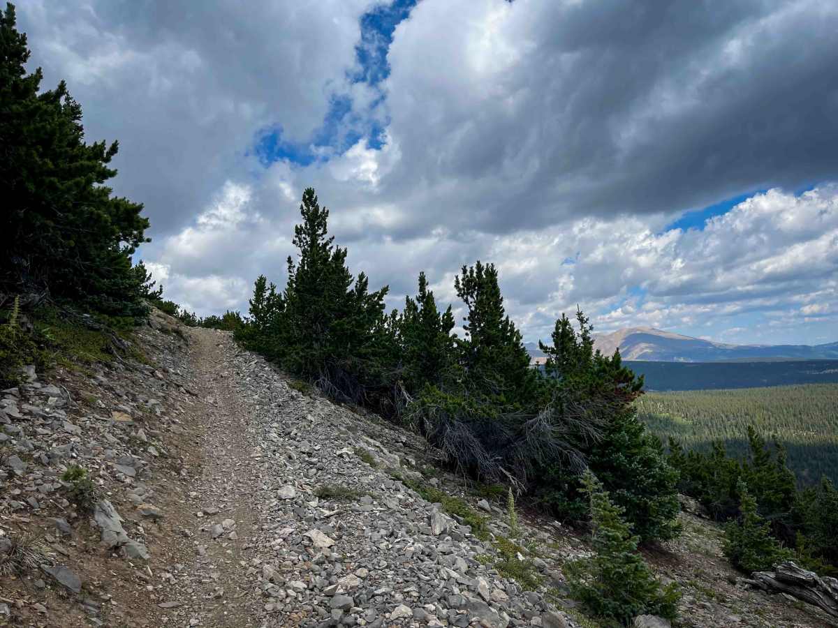 Sheep Mountain Trail #691  photo 5