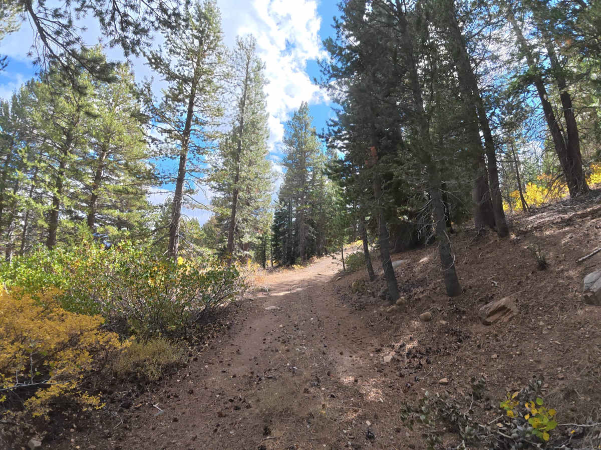 Creek Road Spur F photo 6