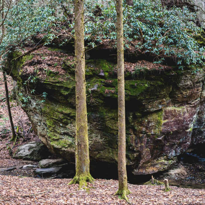 Near Whittleton Arch via Whittleton Branch Trail Near Whittleton Arch via Whittleton Branch Trail