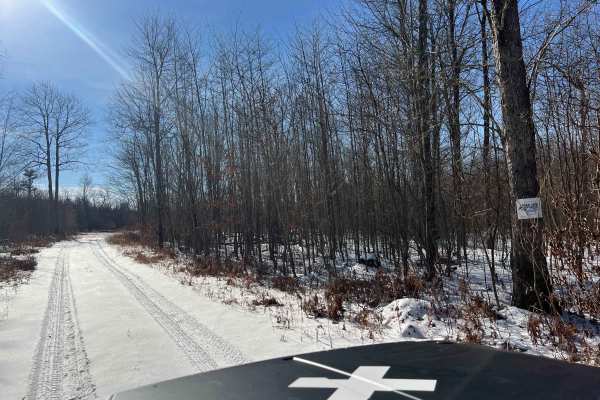 Shirk's Run Trail