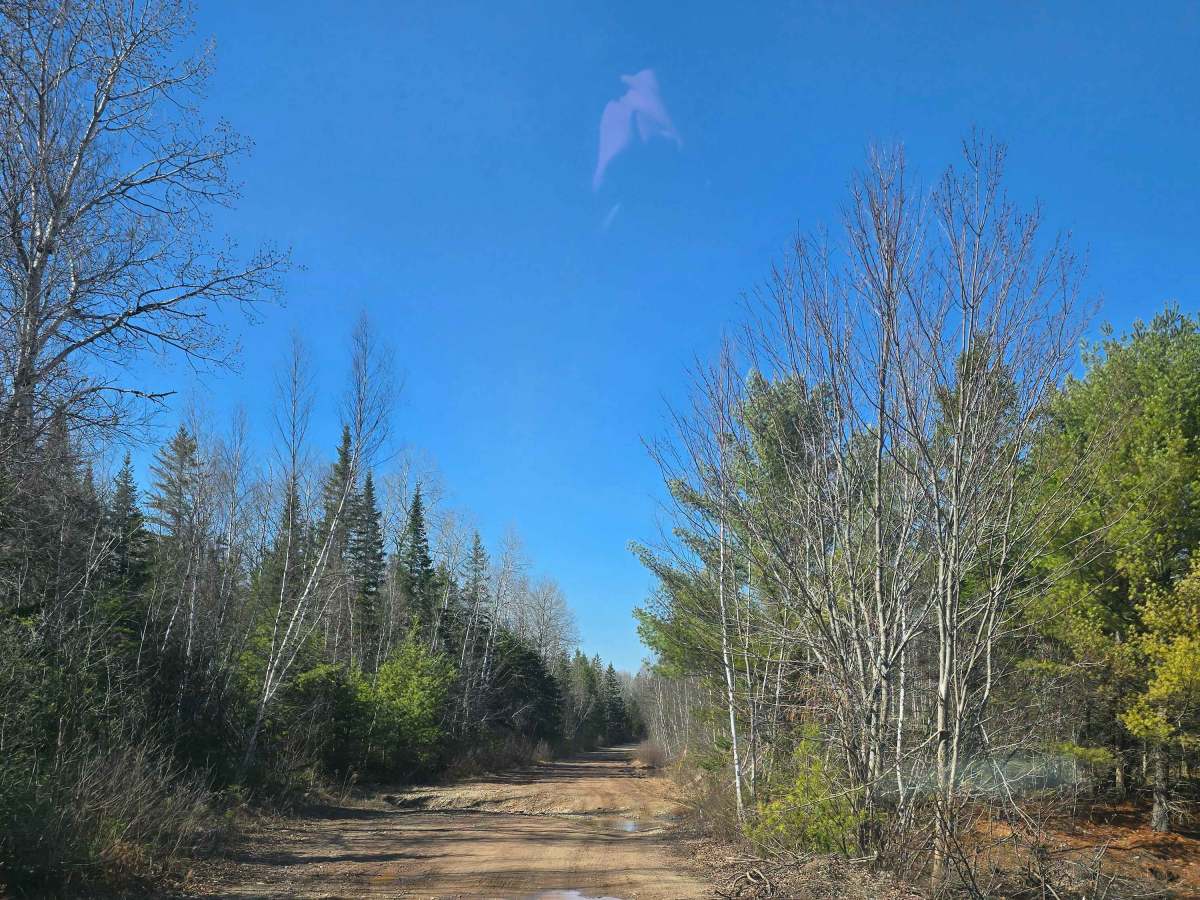 Campbell Brook Road  photo 4