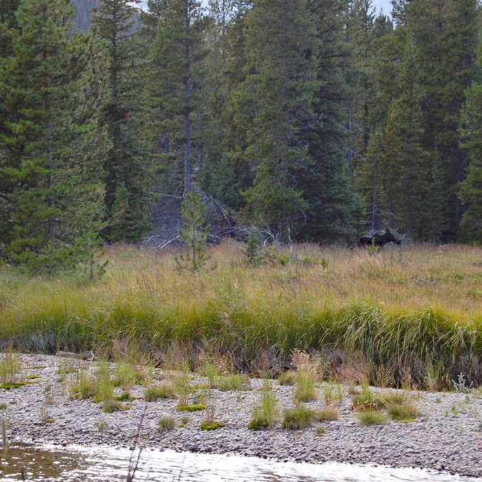 Near Lost Lake Near Lost Lake