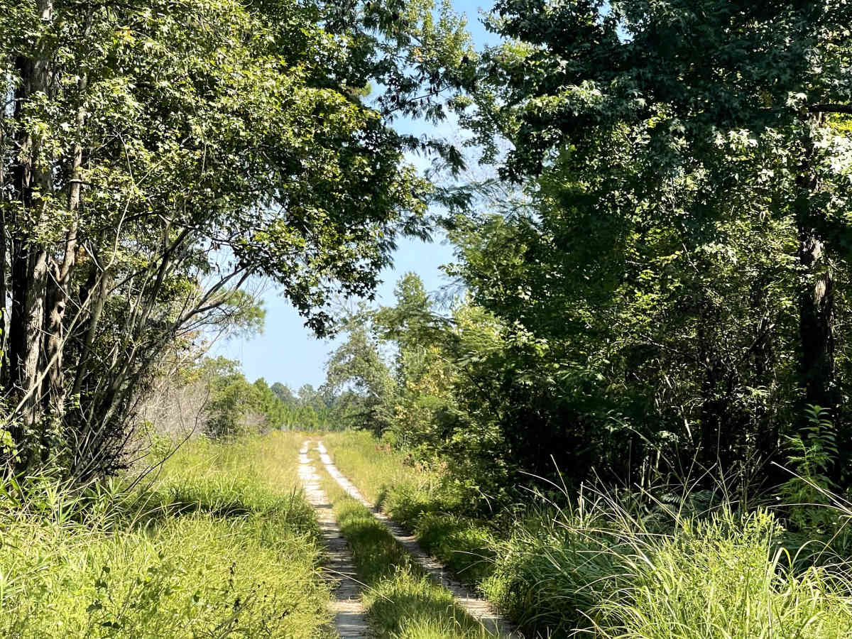 Mingo Road photo 4