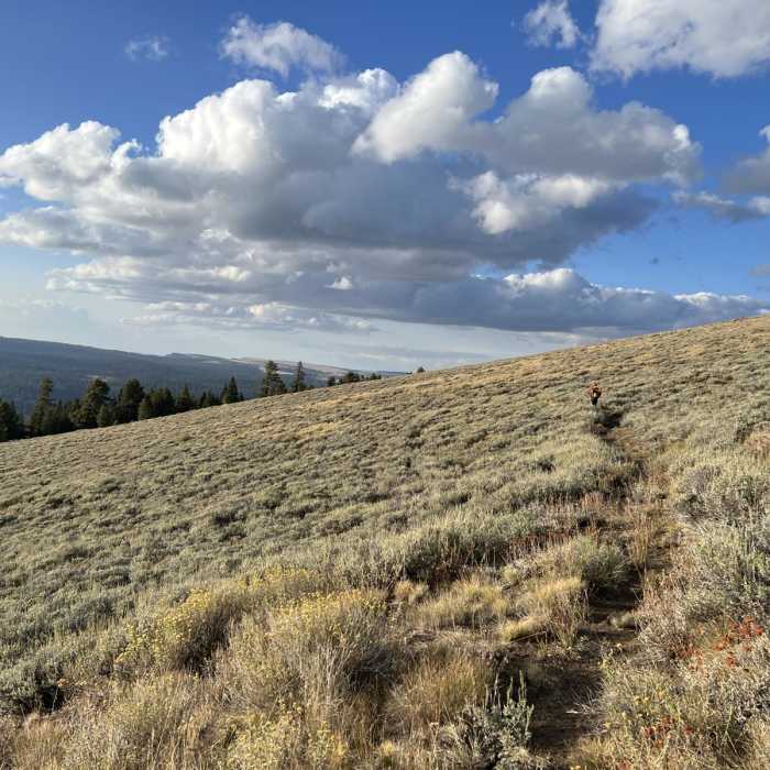 Near Crooked Creek Peak