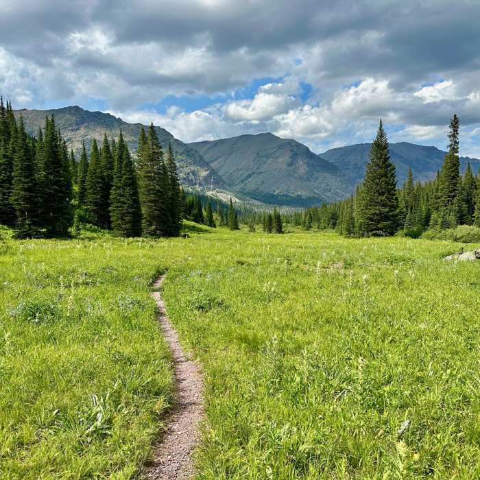 Near Continental Divide Trail: Montana-Idaho Section 28