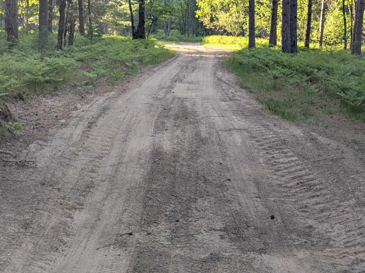 Little Canyon Creek Road photo 5