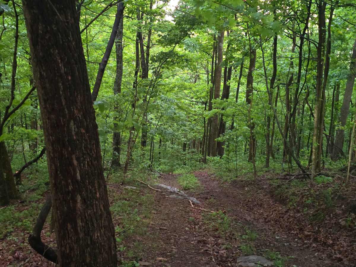 Trail 12 photo 2