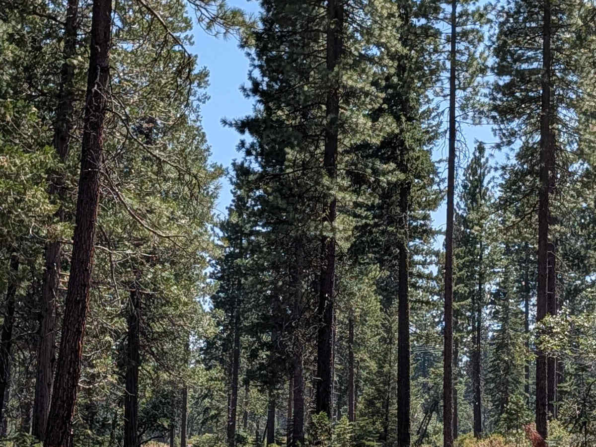 West Lava Rim - FS 40N93Y photo 3
