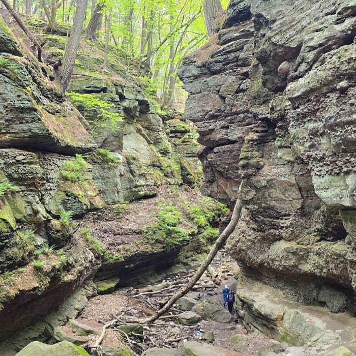 Parfrey's Glen Trail Near Parfrey's Glen Trail