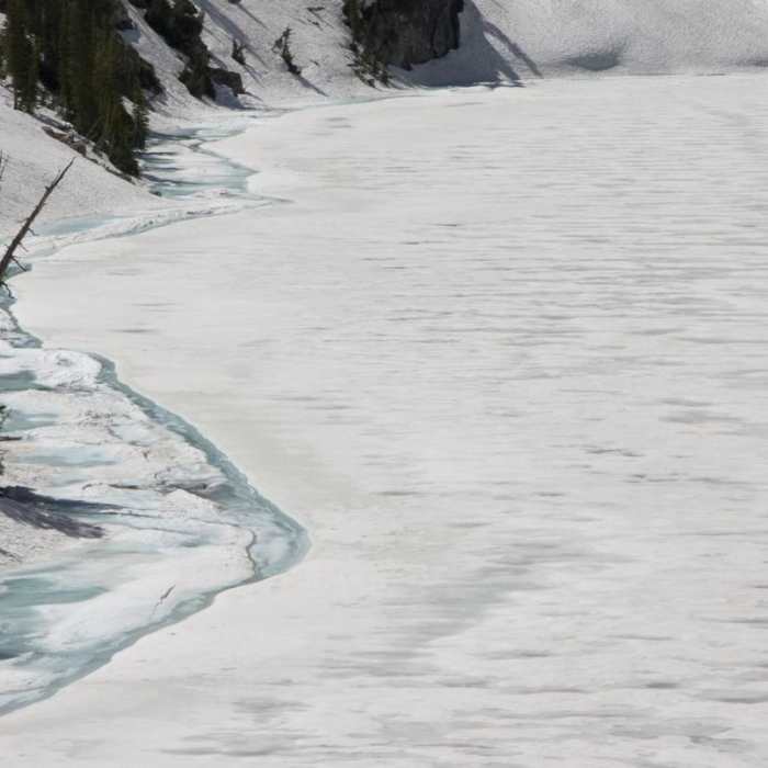 Near Goat Lake on a Lark?