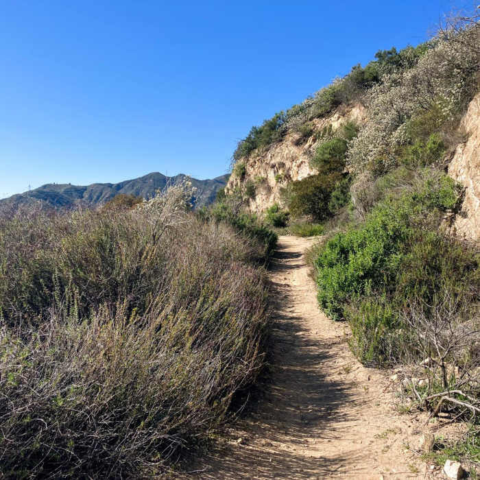 Near Brown Mountain Frontside Loop