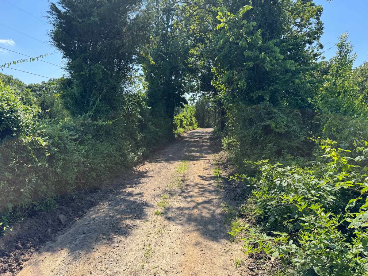 County Road 4015 photo 5