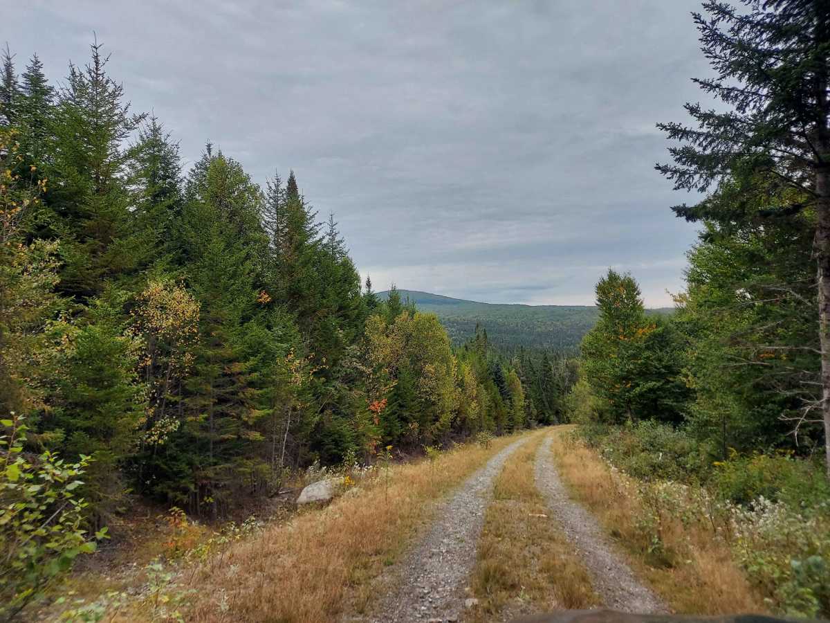 Graham Brook Trail photo 5