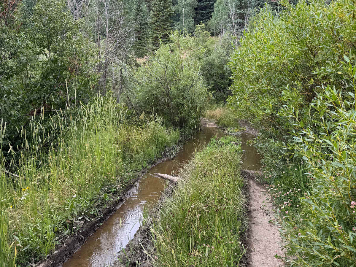 Little Mountain Road photo 6