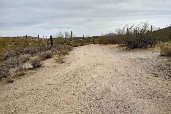 Davis Pathway