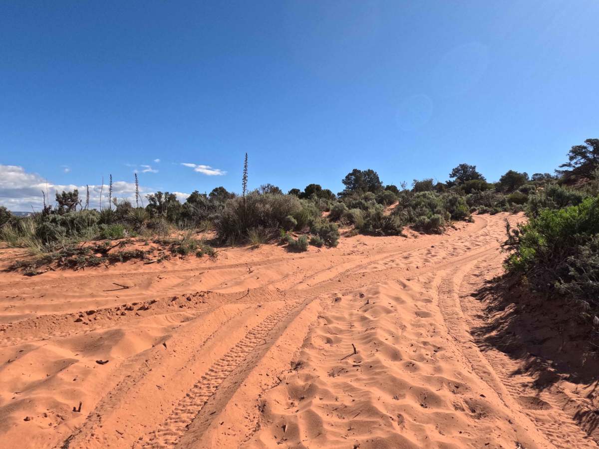 Squaw Trail  photo 6
