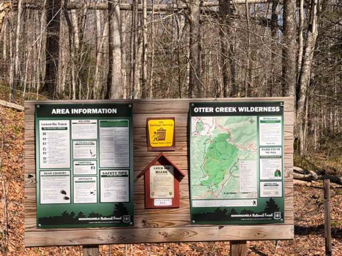 McGowen Mountain  photo 4
