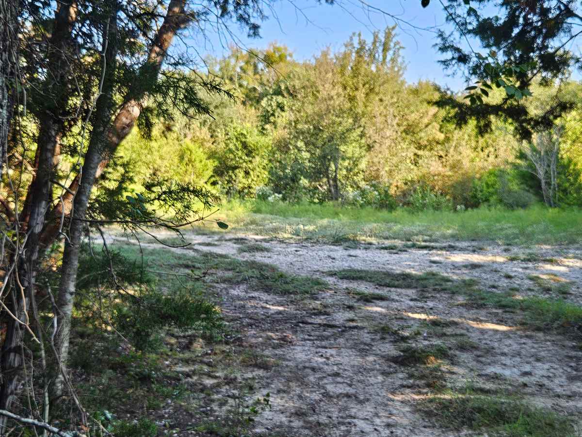 Piston Pony trail photo