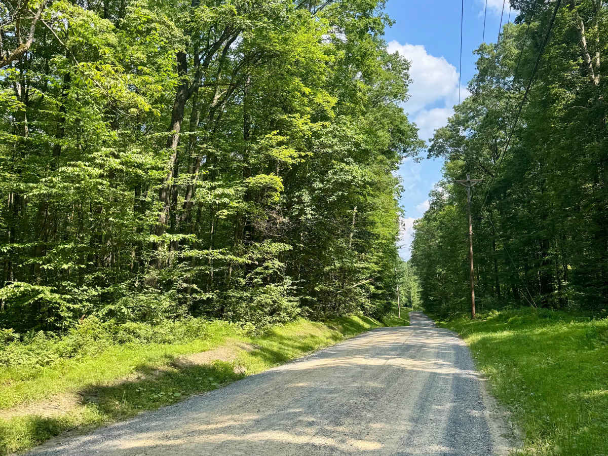 Firetower Road photo 6