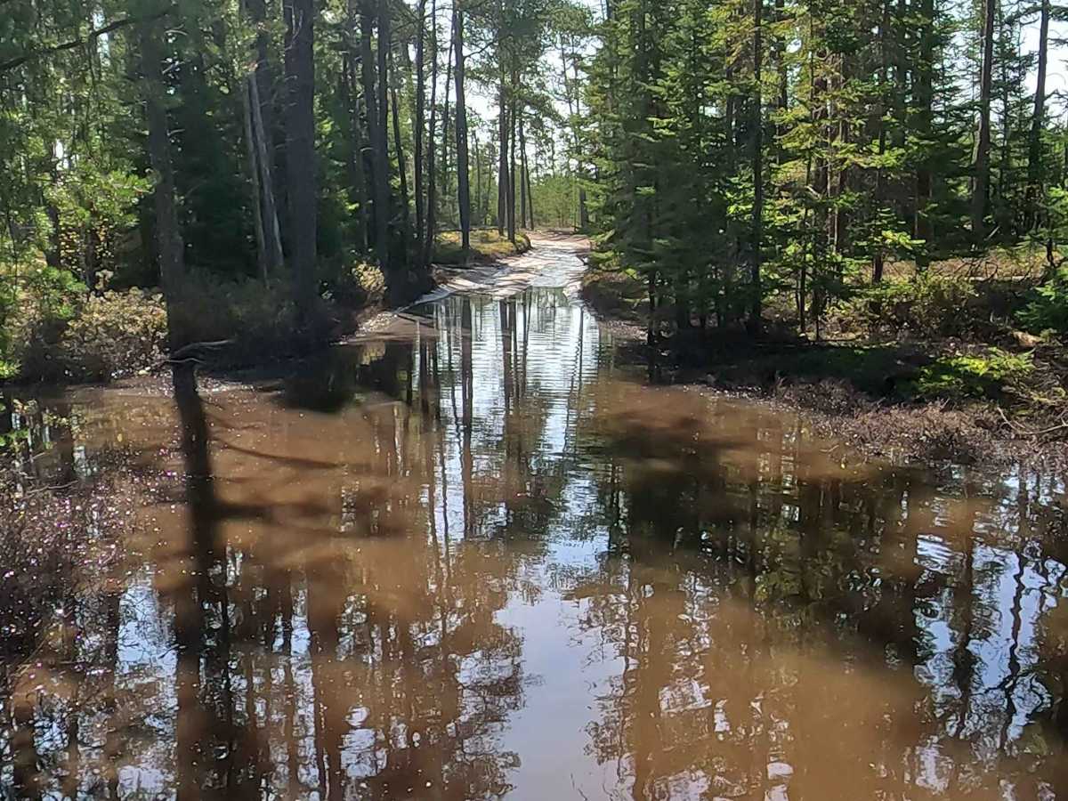 West Wildcat Road photo 3