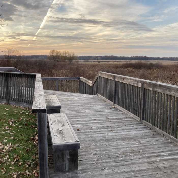 Near Elizabeth Lake Nature Preserve Loop