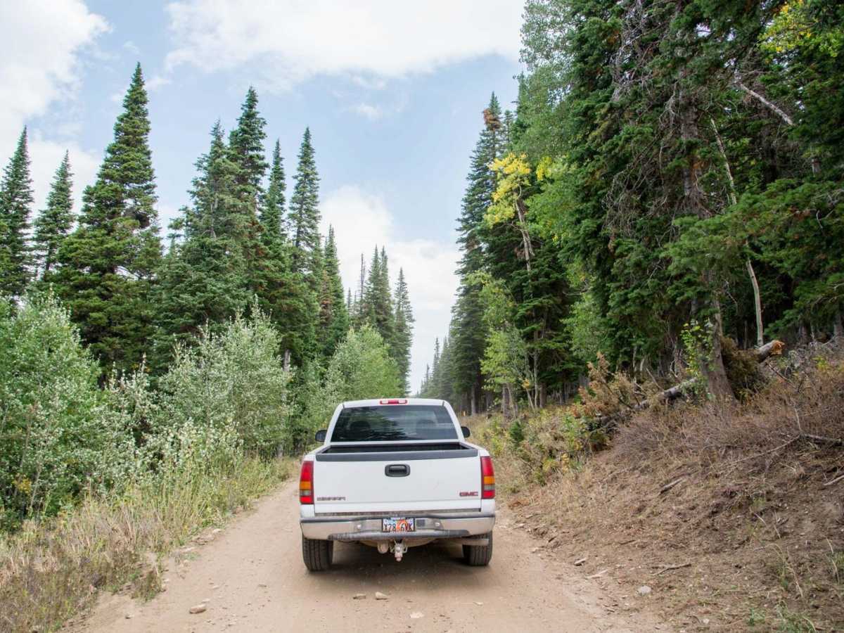 Logger Springs Road photo 4