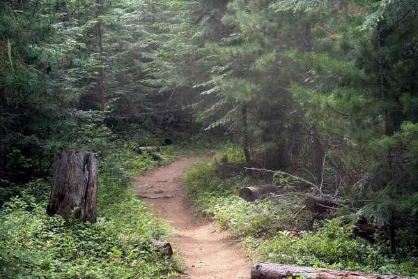 Ruftac Trail 146  