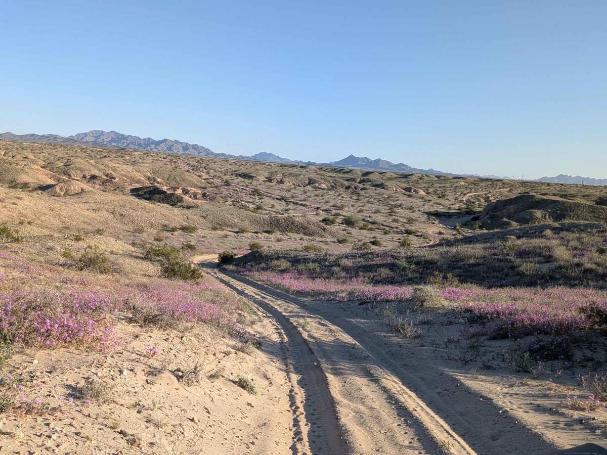 EC1332  trail photo