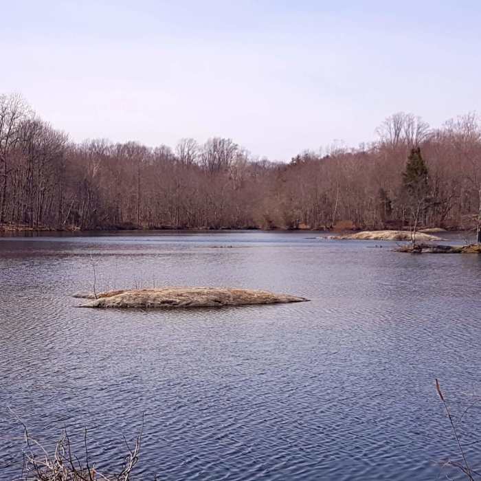 Mondo Pond Trail view of the largest pond Near Mondo Ponds Trail