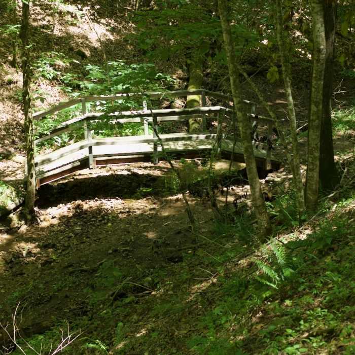 Near River Circle Trail Loop
