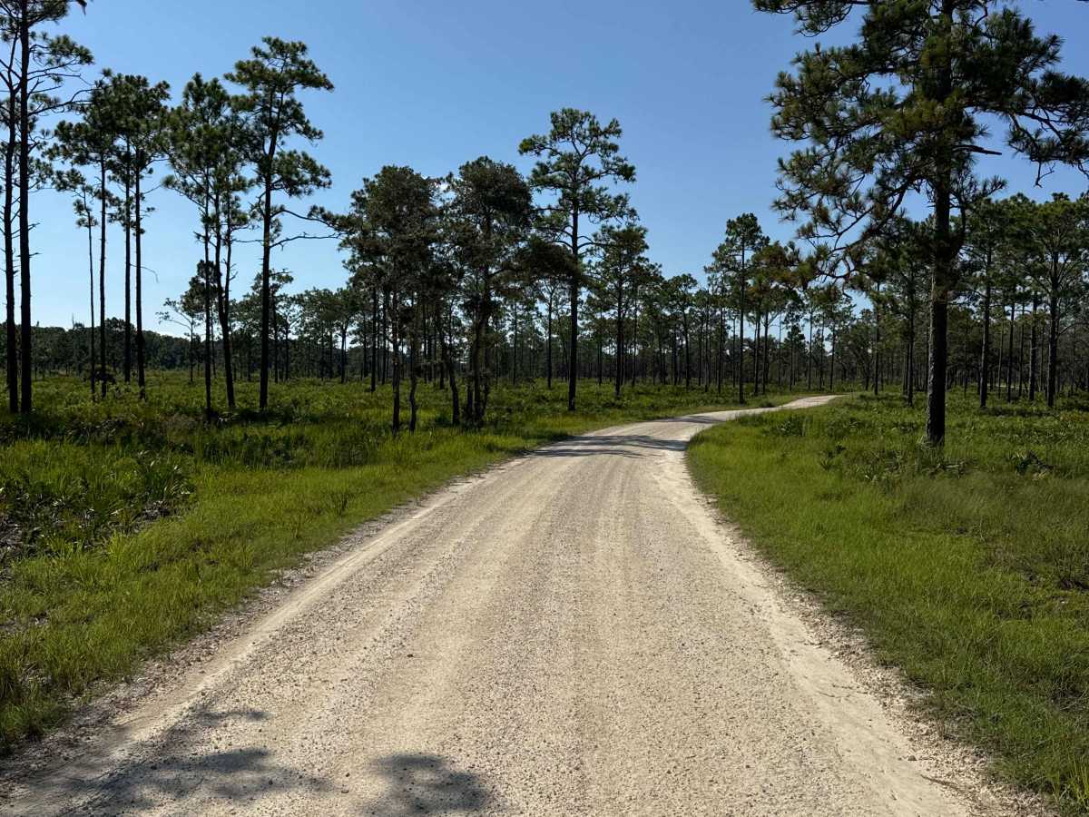 Thunder's Crossing trail photo