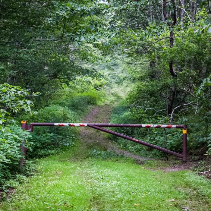 Near Huckleberry Knob Near Huckleberry Knob