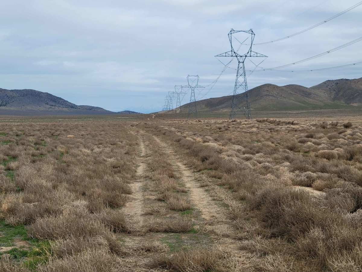 Twelve Mile Pass Road photo 2