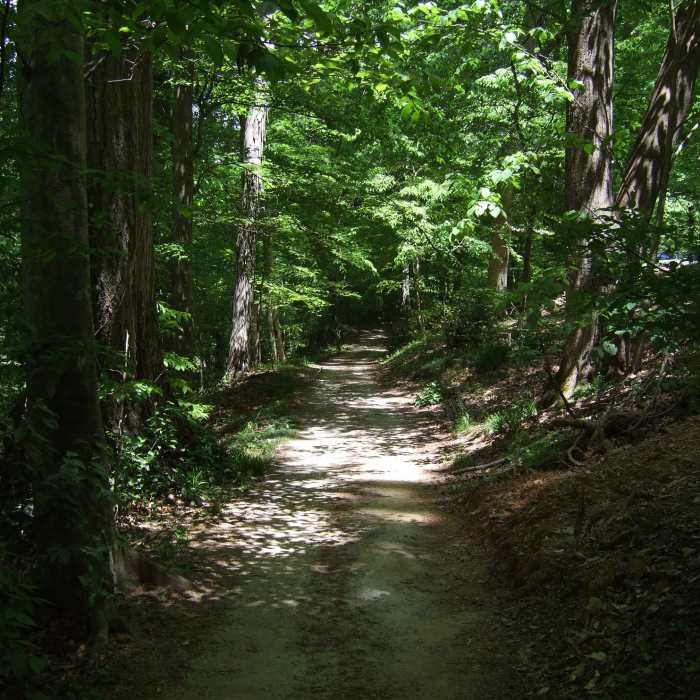 Jemison Park Trail in Mountain Brook, Alabama Near Old Mill via Jemison Park Trail