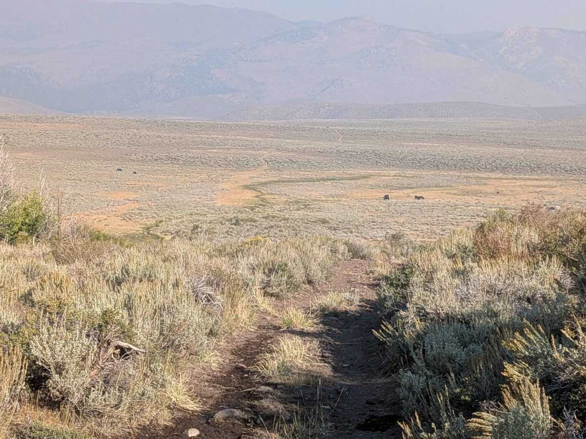 Sage Road East - FS 32066E photo 3