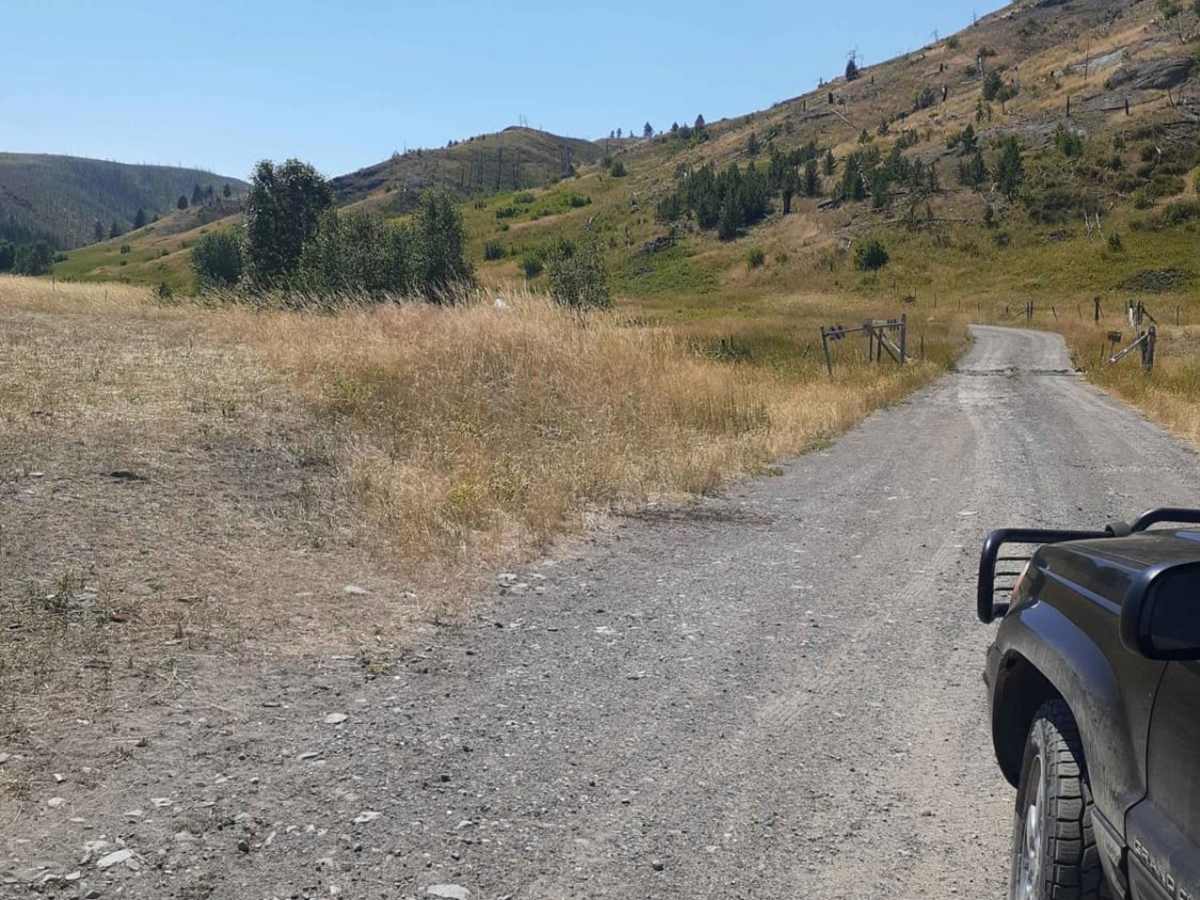 Bridger Creek Cruise photo 2