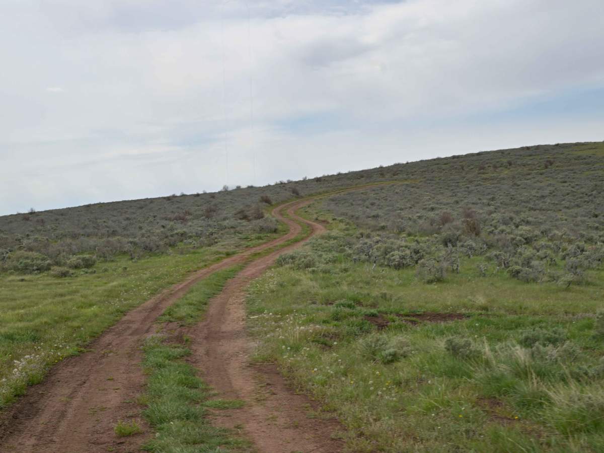 Barker Ridge - FS 10583 photo 6
