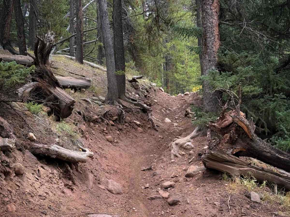 Flag Creek Trail - FS 422 photo 5