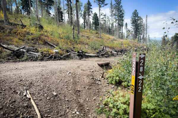Bear Canyon Trail 28