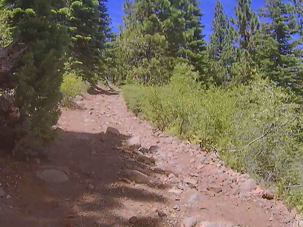 Highway 88 Trail - FS 21564 photo 6