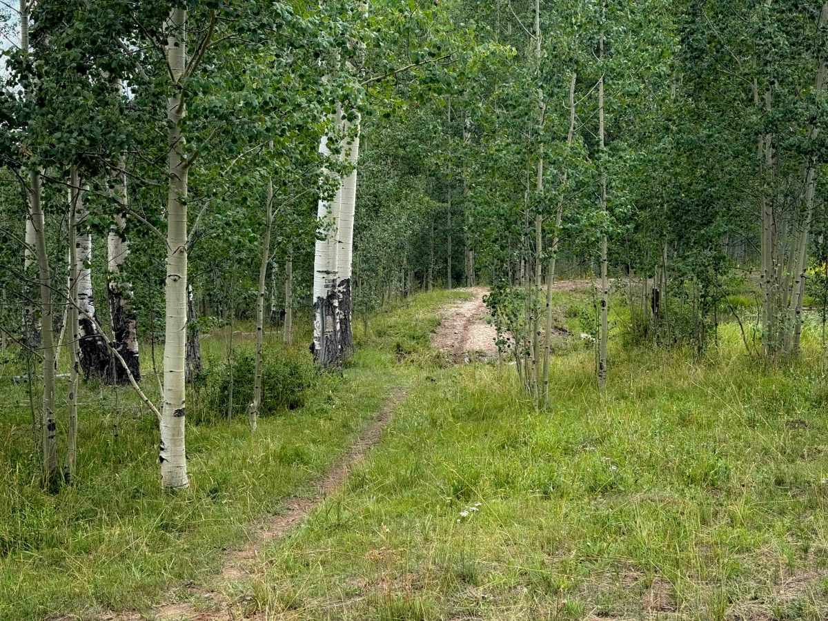 West Twin Springs - Trail 739  photo 5