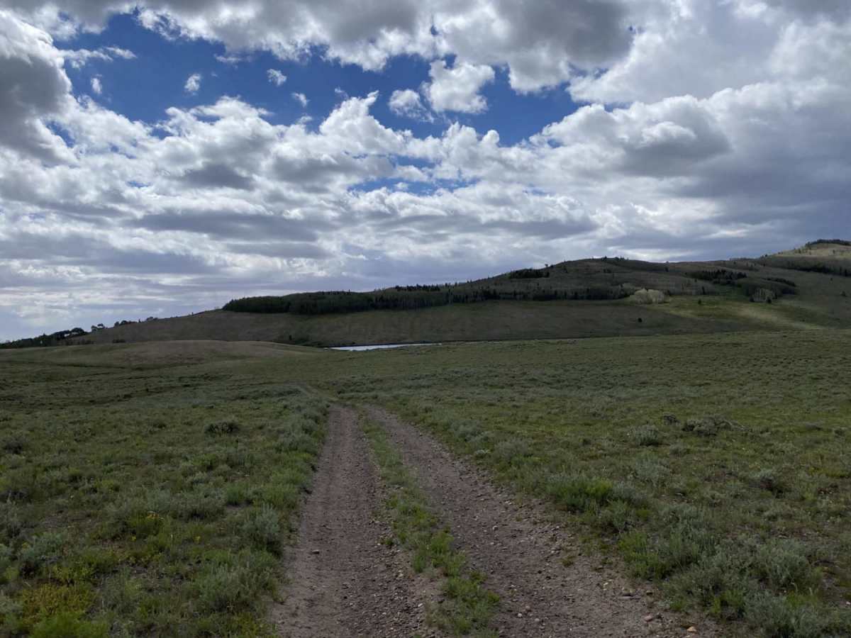 Sheep Valley-Tommy Hollow Trail photo 4