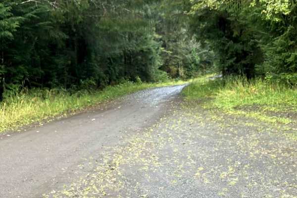 Shaheen  Road 2050000