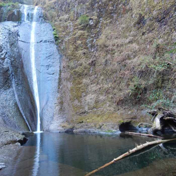 Near Wolf Creek Falls Trail