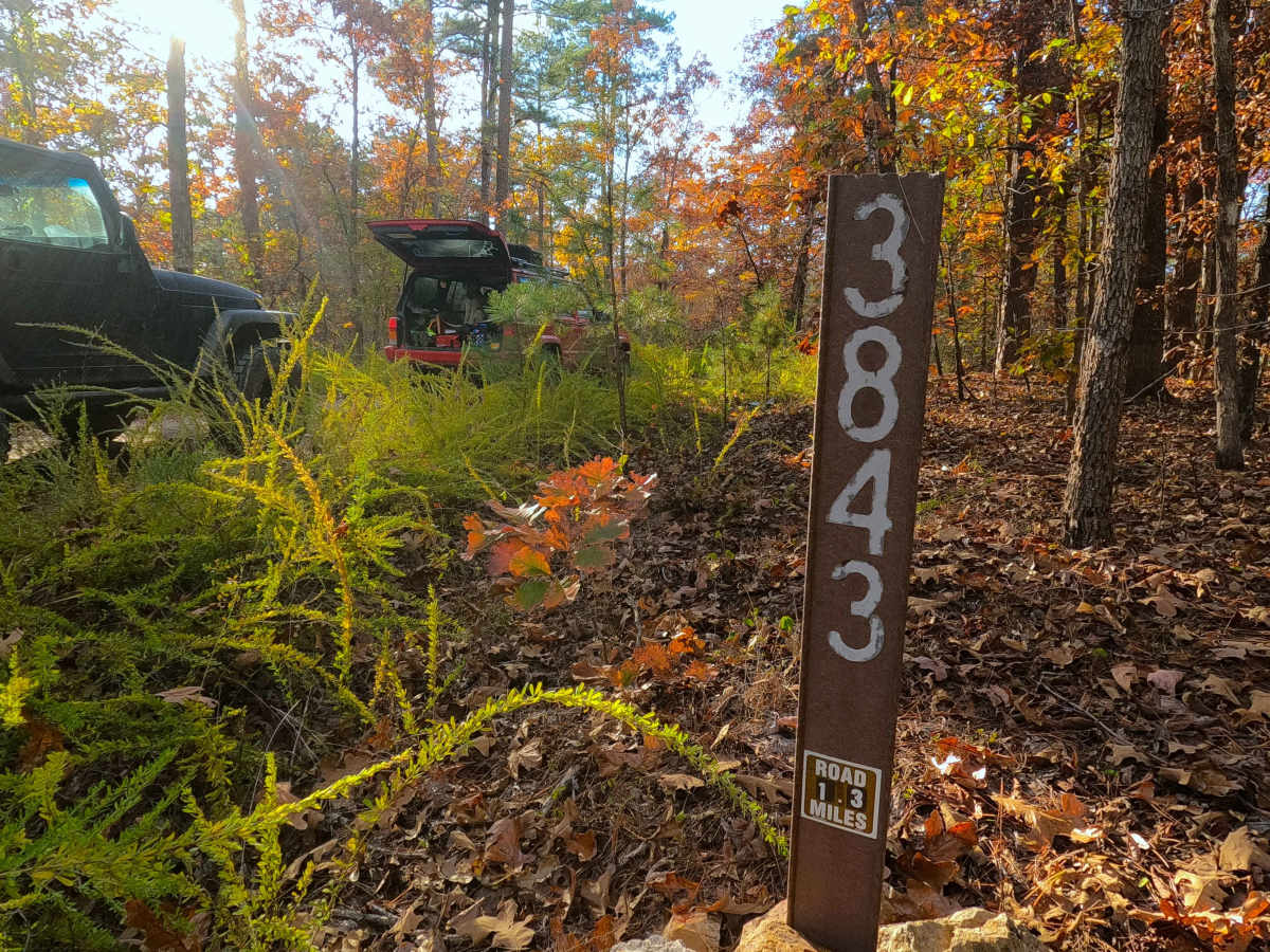 Fox Trot - FS 3843 trail photo