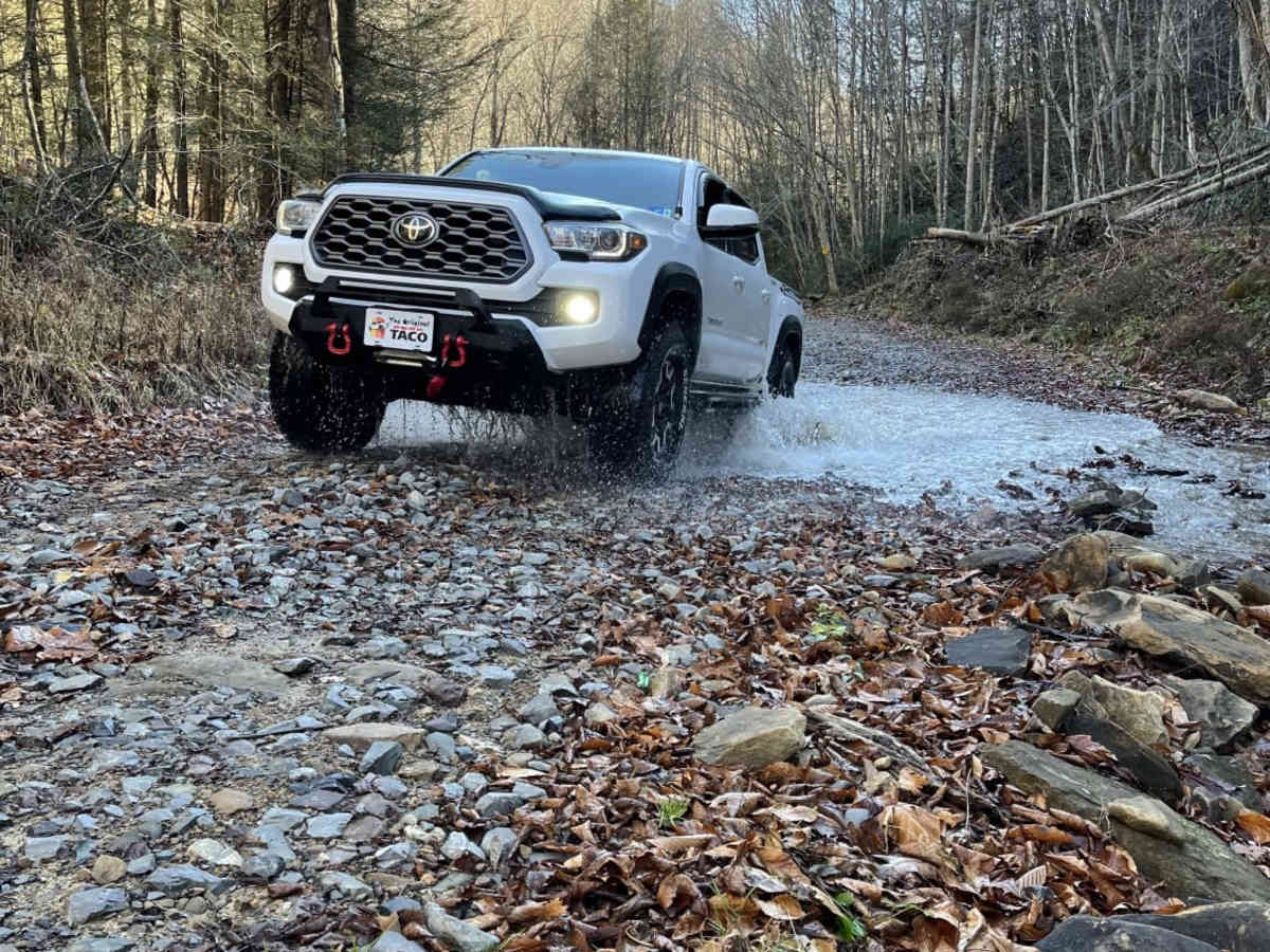 Beech Fork photo 4
