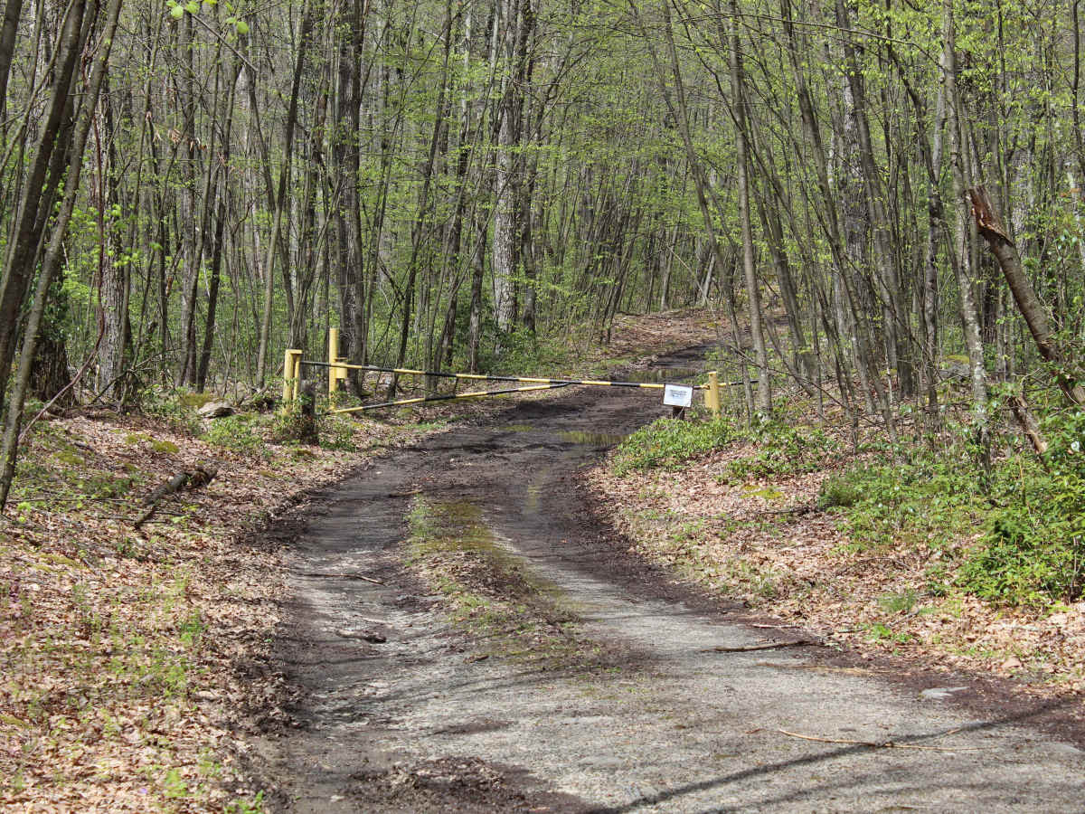 Kratzer Road photo 4