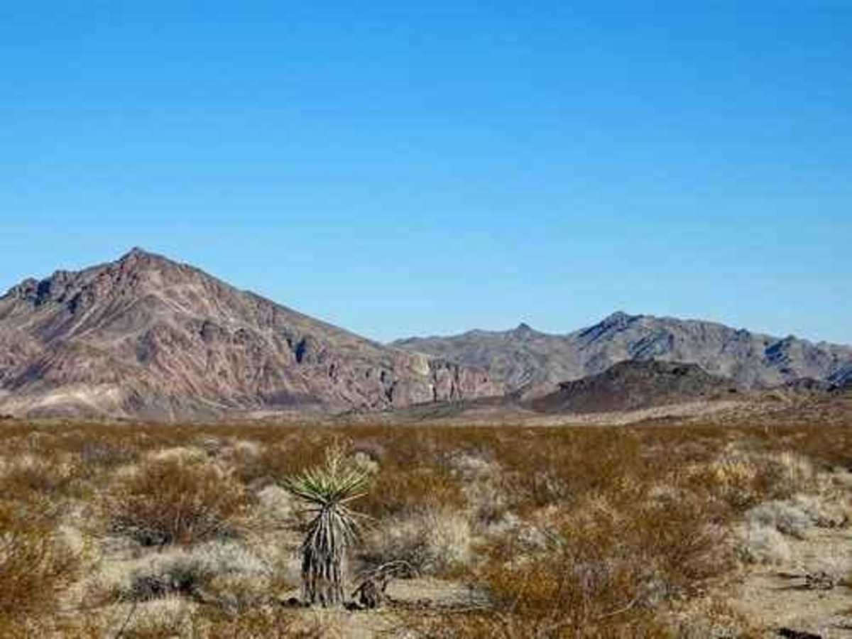 Eagle Pass photo 2