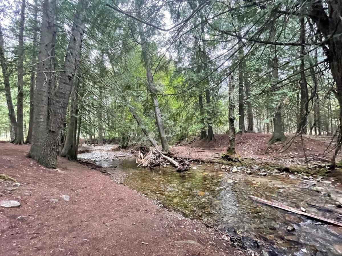Trestle Creek Trail photo 2